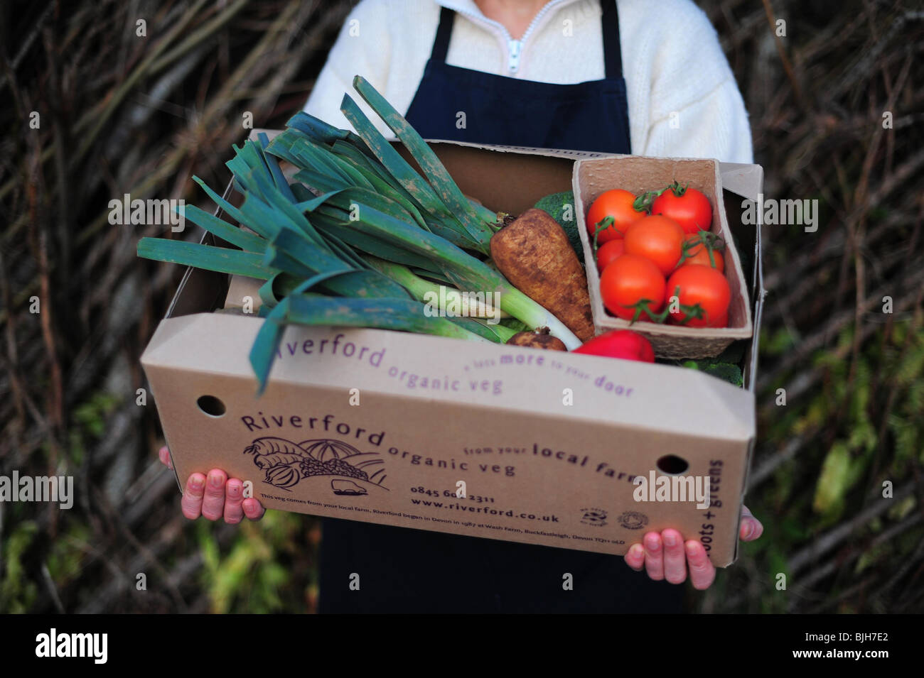 eine Frau mit einem Riverford Bauernhof Bio Gemüse-Box, an einen Kunden ausgeliefert werden Stockfoto