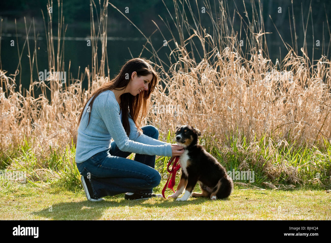 Eine junge Frau kaukasischen und ihr Hündchen im park Stockfoto