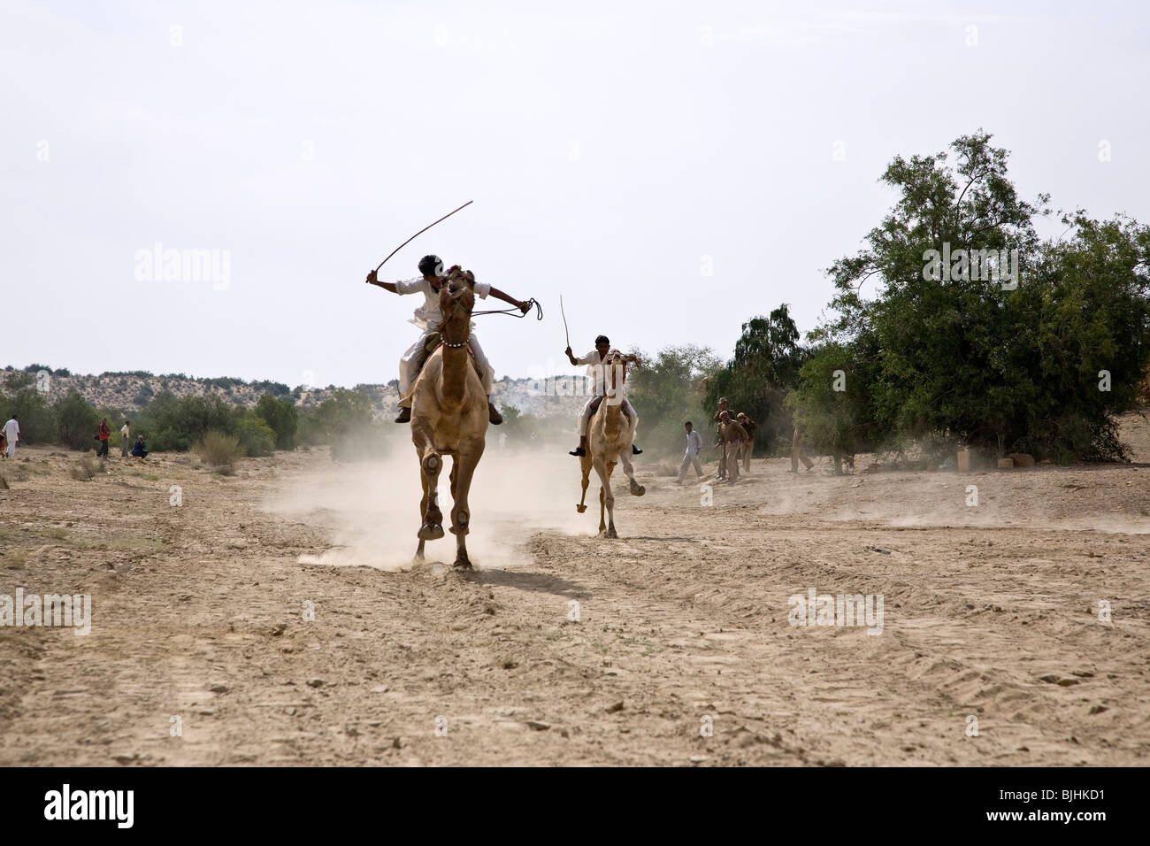 Kamelrennen. Khuri Dorf. In der Nähe von Jaisalmer. Rajasthan. Indien Stockfoto