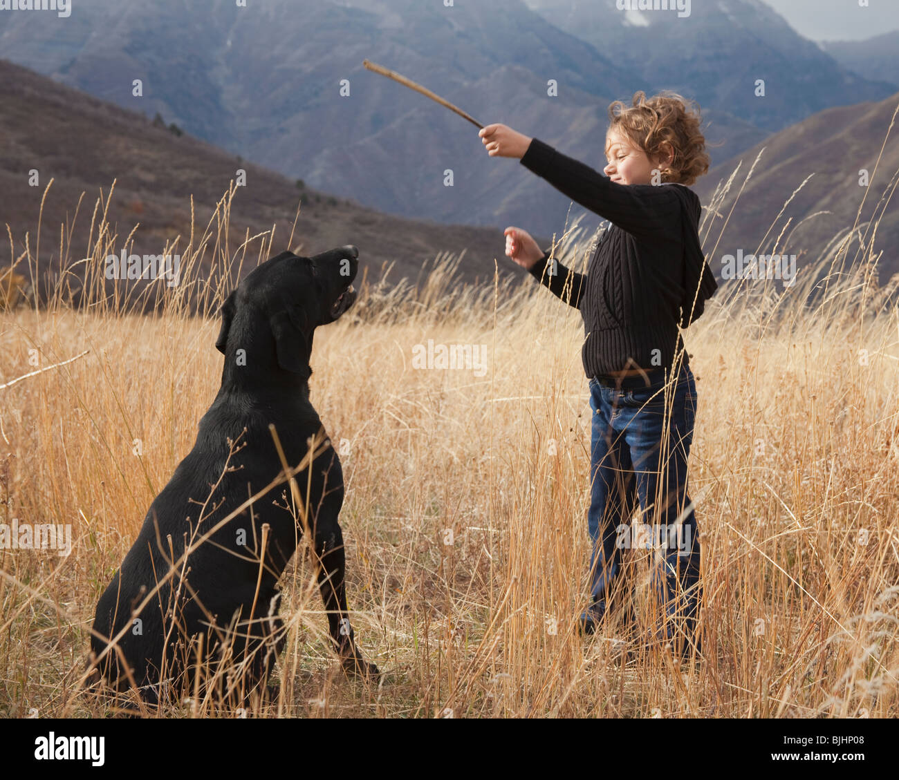 Mädchen spielen holen mit Hund Stockfoto