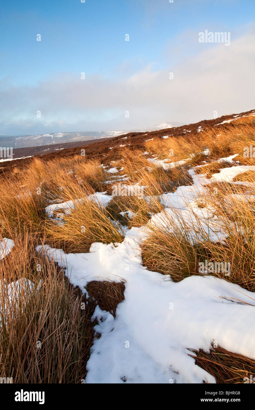 Warmes Licht am Nachmittag trifft die Pisten und den Rest der Winterschnee an den Hängen des Bleaklow in The Peak District Stockfoto
