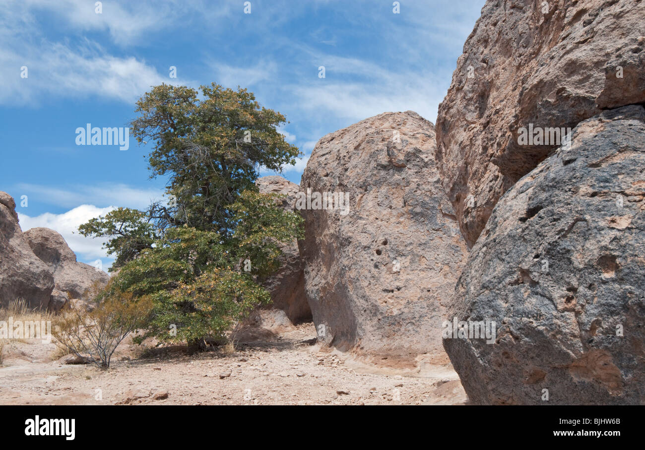 Stadt der Felsen State Park bekannt für vulkanische Felsformationen befindet sich im südwestlichen New Mexico nahe der Stadt von Faywood Stockfoto