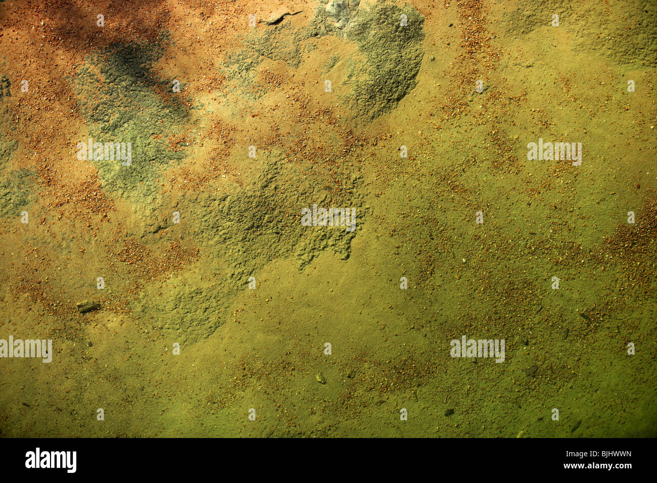 Unterseite des Flusses Textur, Orange und grün Hintergrund, Steinchen mit rostigen Sand und Mikro-Algen Stockfoto