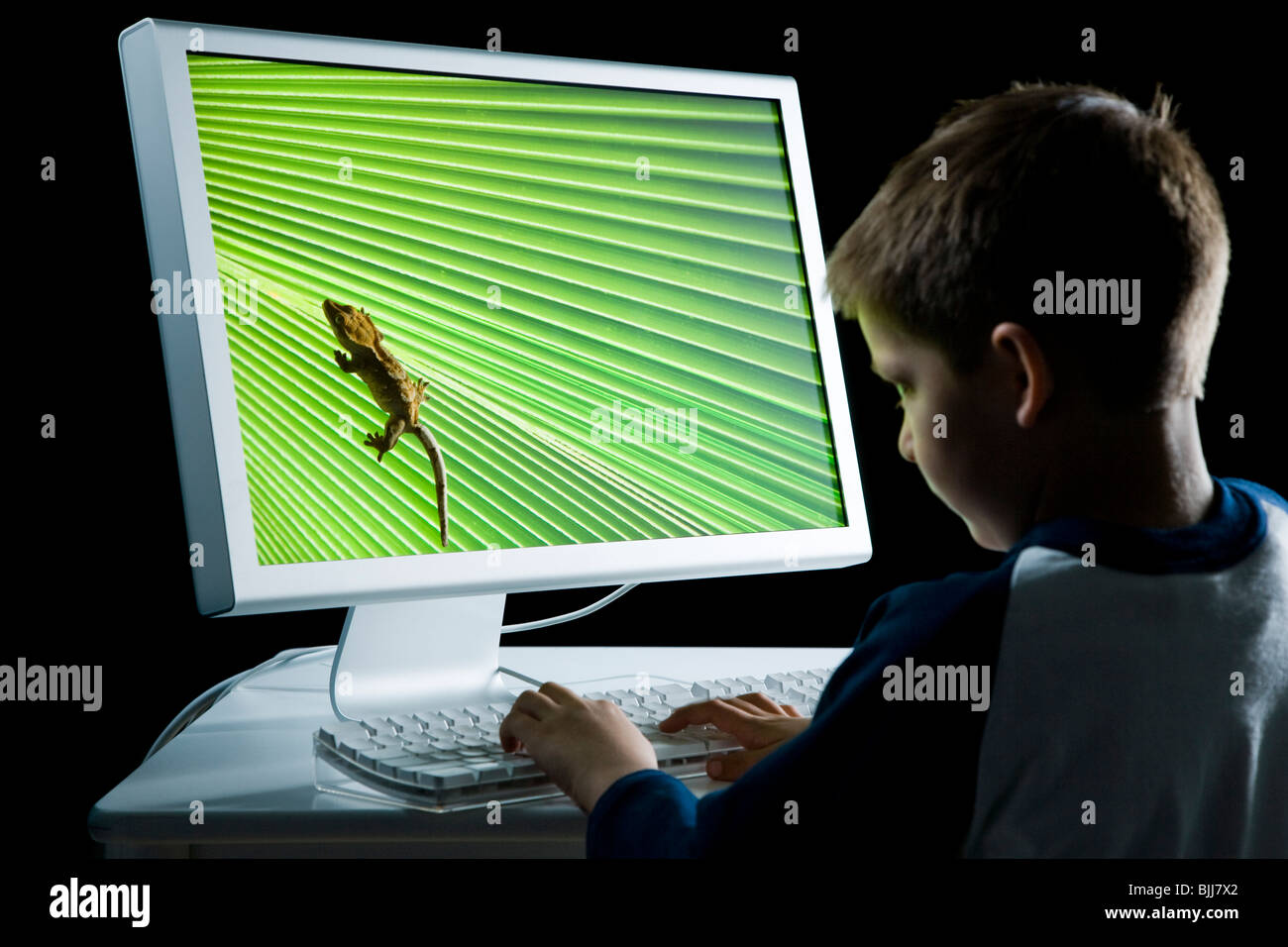 Rückansicht des jungen am Computer mit Eidechse auf monitor Stockfoto