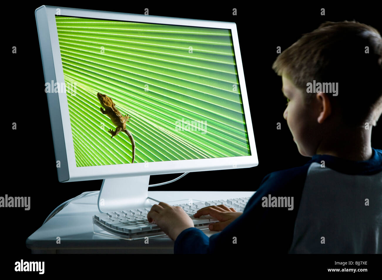 Rückansicht des jungen am Computer mit Eidechse auf monitor Stockfoto