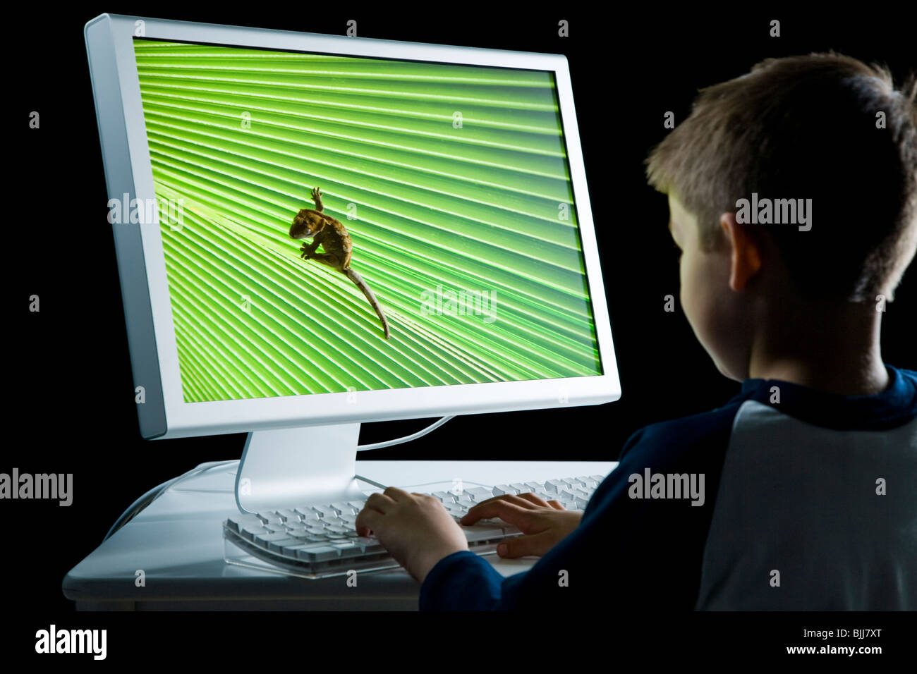 Rückansicht des jungen am Computer mit Eidechse auf monitor Stockfoto