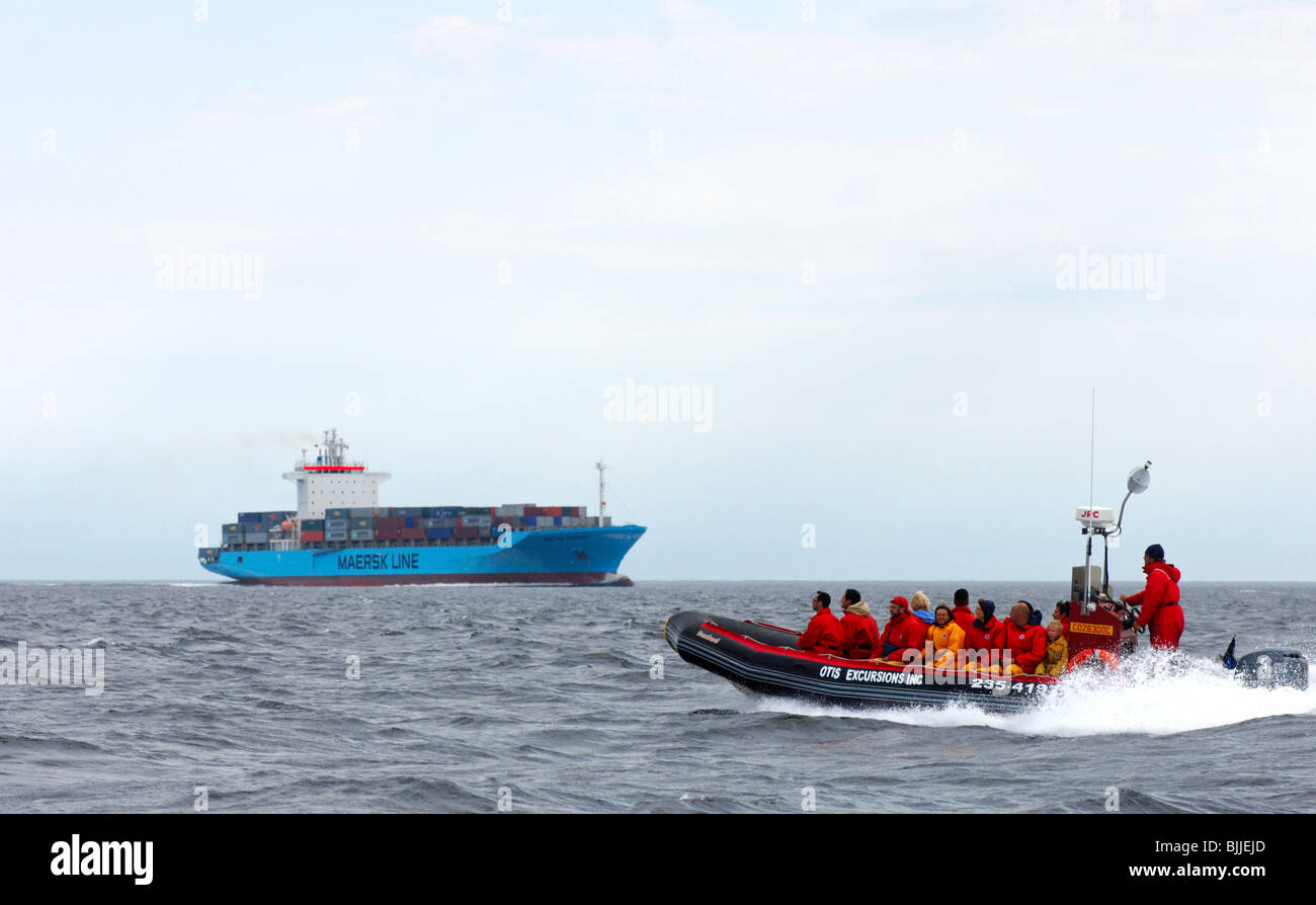 Ein Zodiac-Schlauchboot mit Touristen an Bord vorbei an einem Frachtschiff Maersk Line am St.-Lorenz-Strom, Tadoussac, Kanada Stockfoto