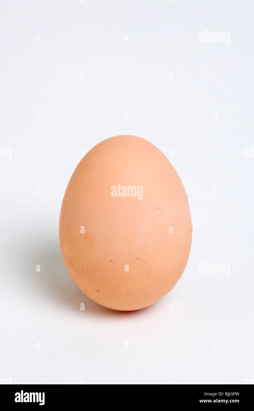 England, East Sussex, Brighton, Essen, Uncooked, Eiern, ein hart gekochtes Freilandhaltung Ei auf einem weißen Hintergrund. Stockfoto