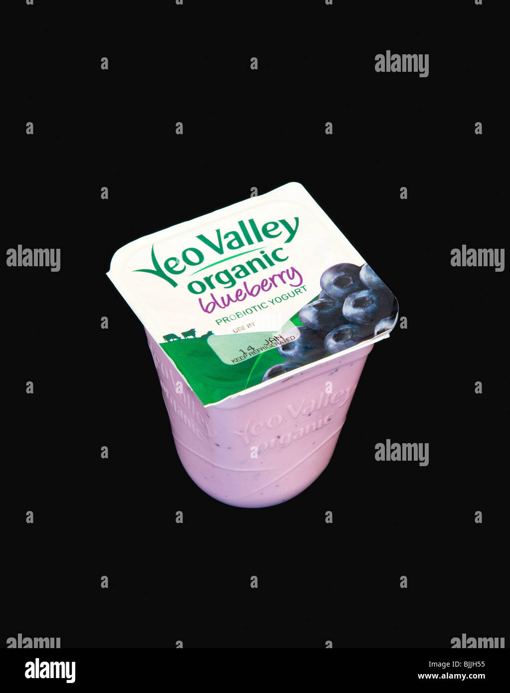 Lebensmittel, Bio, Joghurt, Yeo Valley Bio probiotischer Heidelbeer Joghurt vor einem schwarzen Hintergrund. Stockfoto