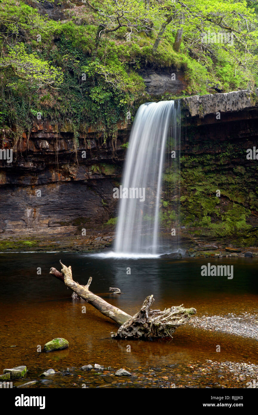 Sgwd Gwladys Wald Wasserfall, Glyn Neath in Brecon Beacons National Park Stockfoto