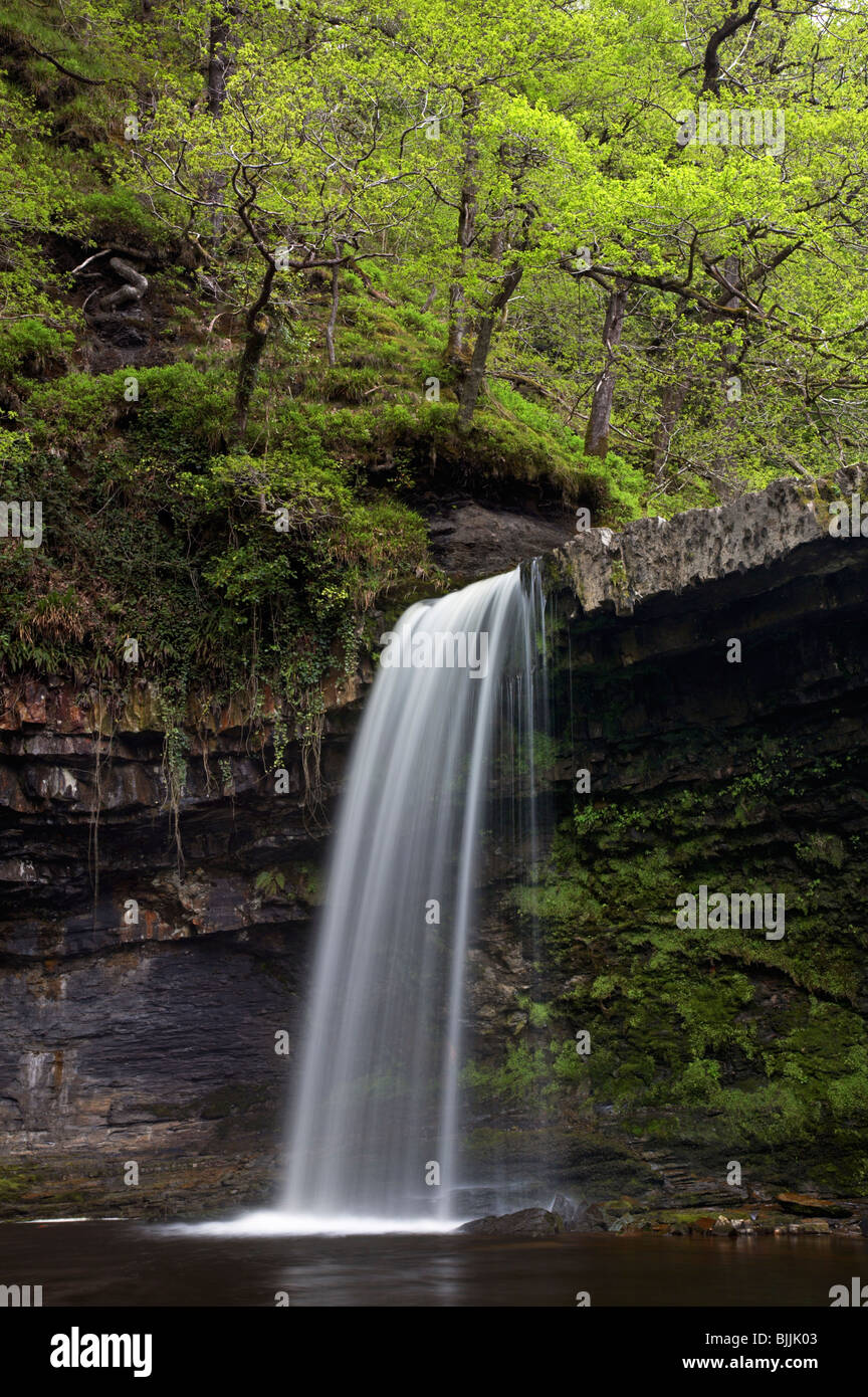 Sgwd Gwladys Wasserfall, Glyn Neath in den Brecon Beacons National Park. Stockfoto