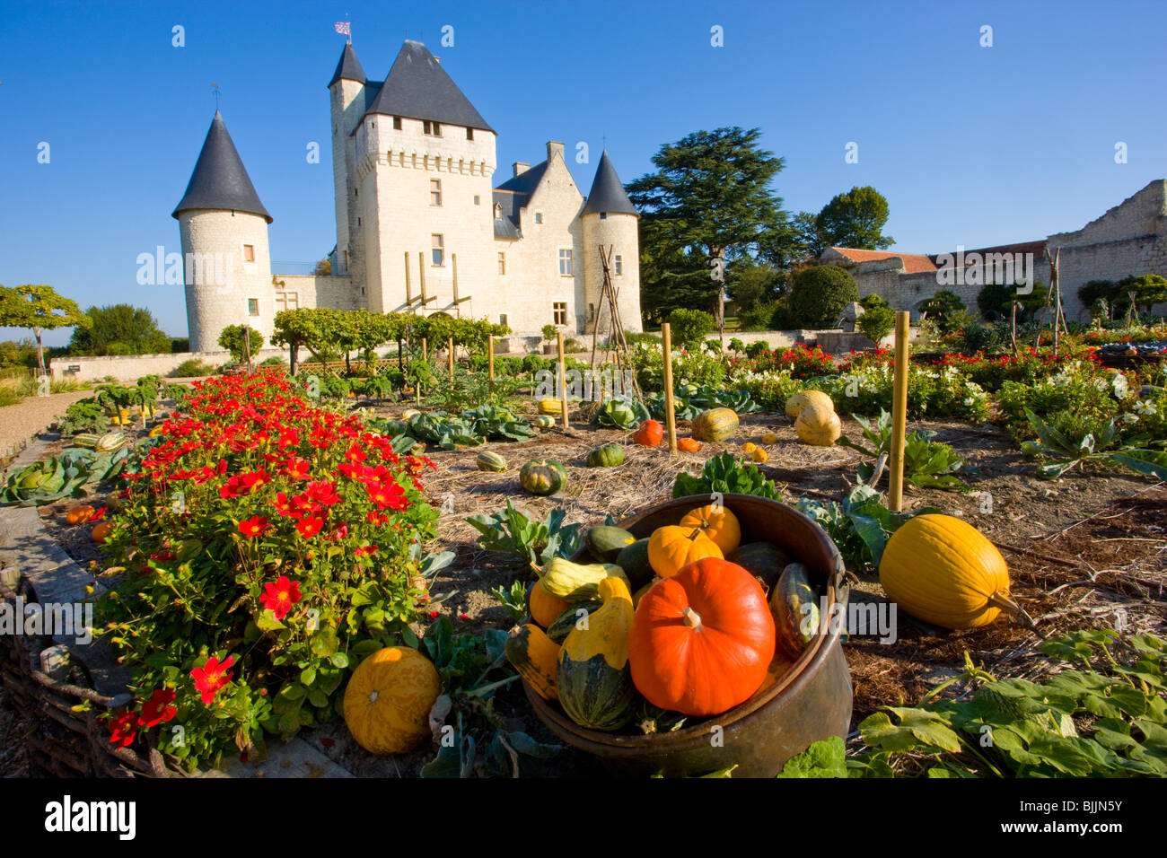 Schlosses Schloss und Gärten, Loiretal, Frankreich, UNESCO World Heritage Site, erbaut 15. Jahrhundert Stockfoto