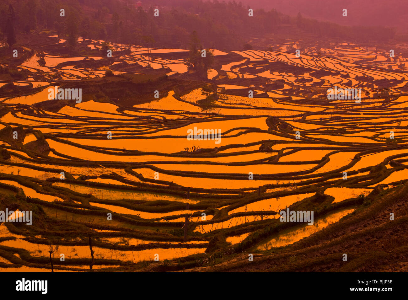 Yuan Yang Reis Terrassen, Volksrepublik China, Provinz Yunnan, in der Nähe von vietnamesischen Grenze, UNESCO-Weltkulturerbe Stockfoto