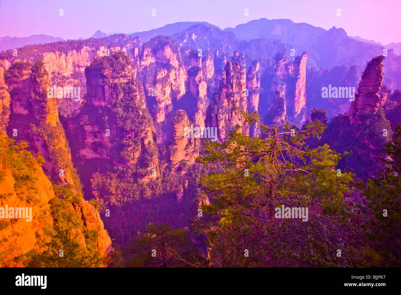 Der Zinnen Rock in Zhangjiajie National Forest Park, der