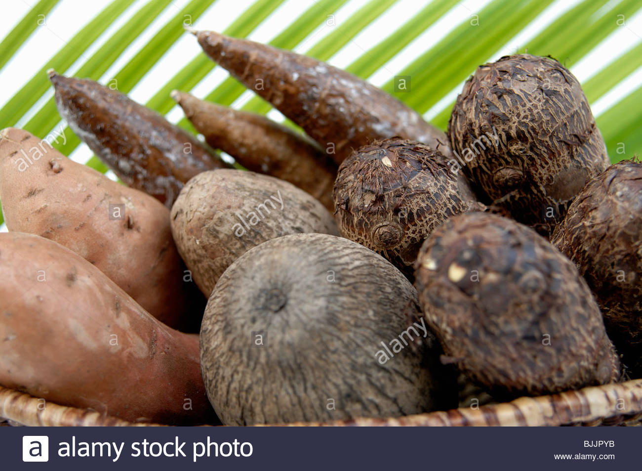 Food Vegetable Exotic Yam Yams Stockfotos &amp; Food Vegetable Exotic Yam ...