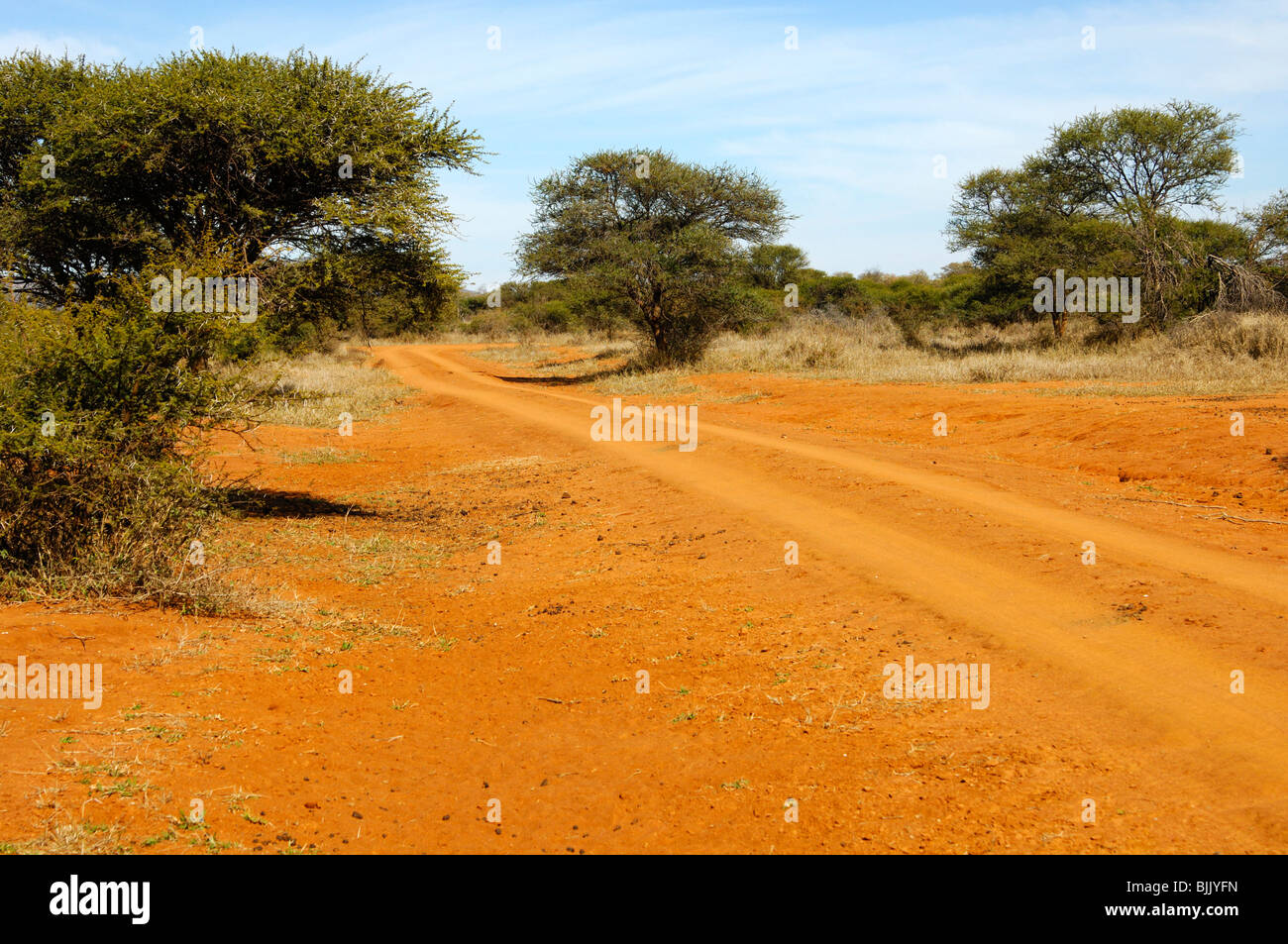 Rot-braune Laterit Erde mit typischen Buschlandschaft und Naturlehrpfad in Madikwe Game Reserve, Südafrika, Afrika Stockfoto