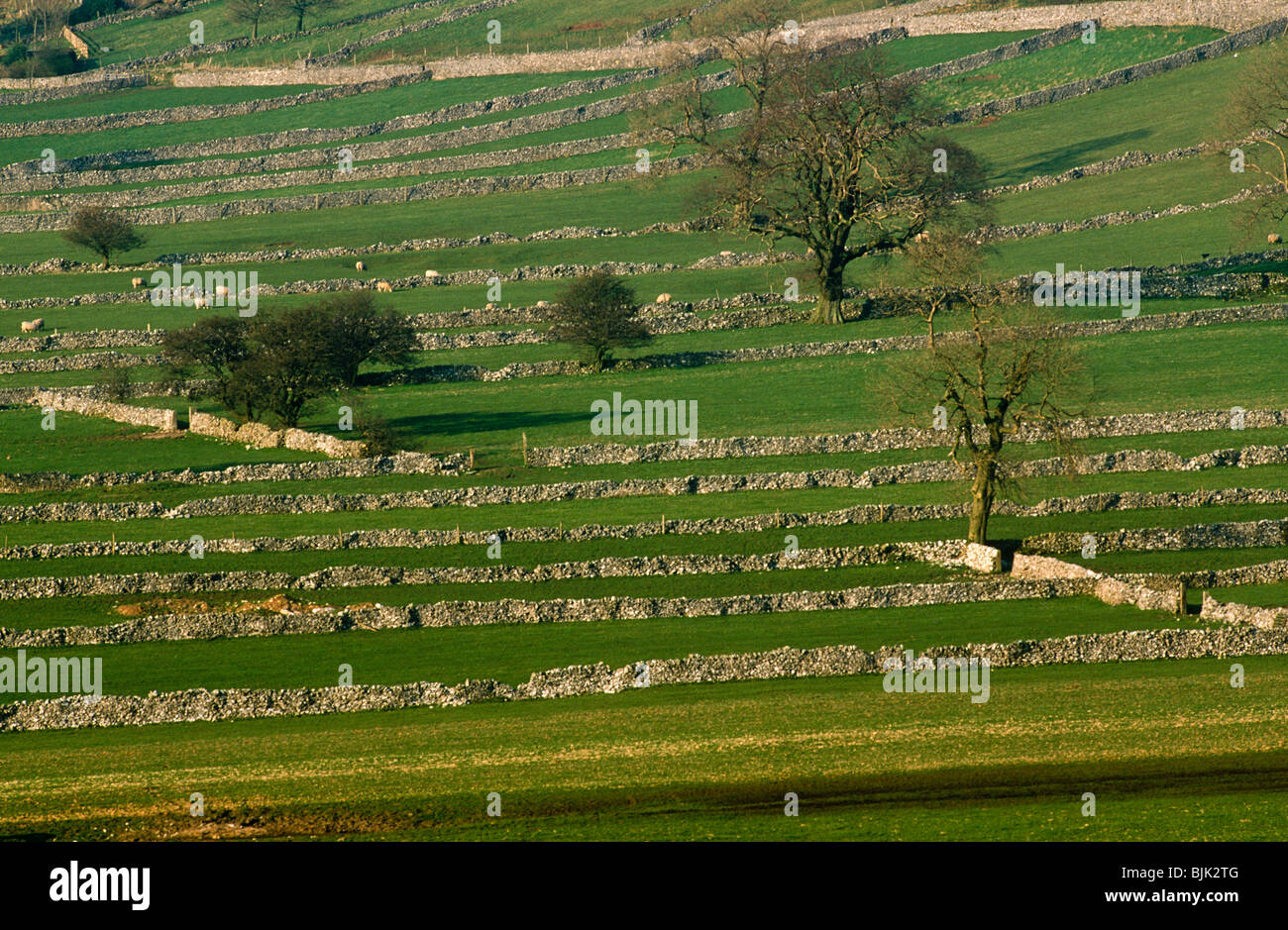 Stripfields, Chelmorton, Derbyshire, Peak District Stockfoto