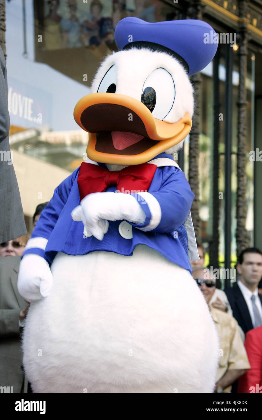 DONALD DUCK-DONALD DUCK-Stern auf den HOLLY HOLLYWOOD LOS ANGELES USA 9. August 2004 Stockfoto