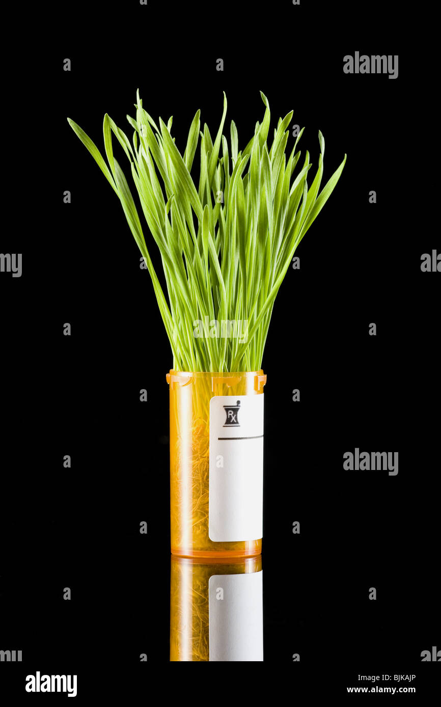 Verschreibung Flasche mit grass Stockfoto