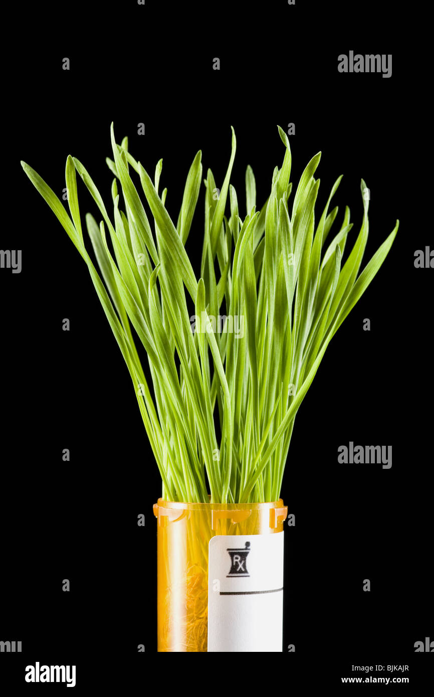Verschreibung Flasche mit grass Stockfoto