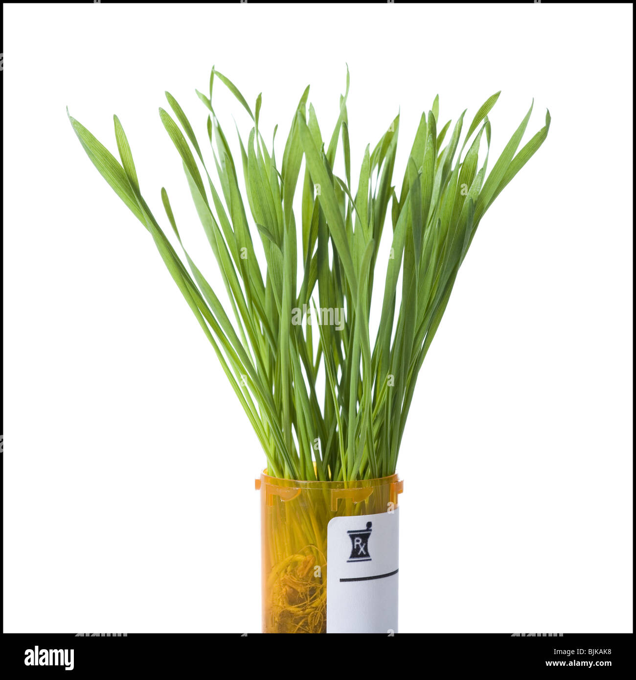 Verschreibung Flasche mit grass Stockfoto