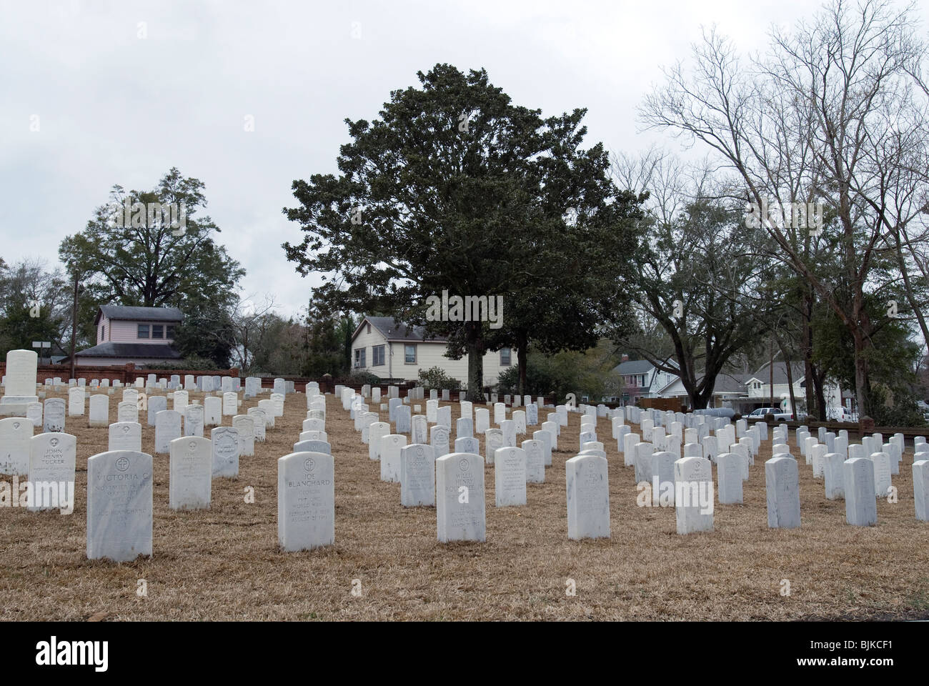 Grabsteine auf dem Nationalfriedhof in Wilmington. Stockfoto