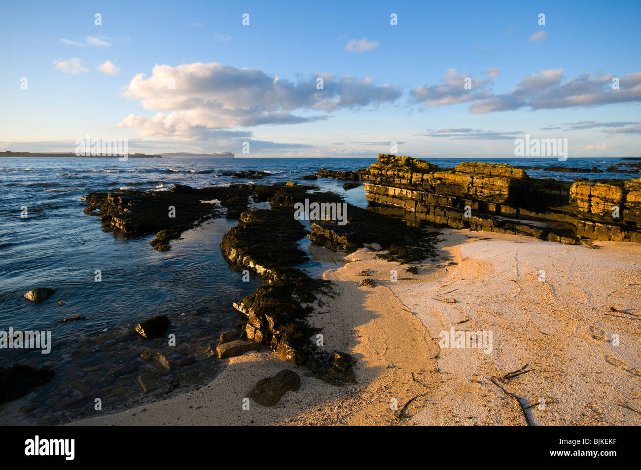Dunnet Head von Wester Haven, an der nördlichen Küste von Caithness, Schottland, UK Stockfoto