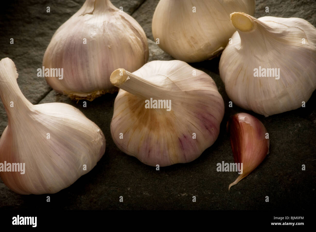 Nahaufnahme von Knoblauch Zwiebeln und einzelne Knoblauchzehe auf Schiefer Hintergrund Stockfoto