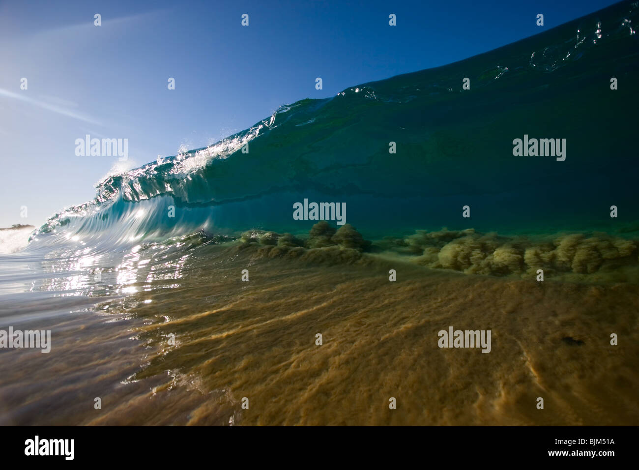 Eine glasige Shorebreak Welle zieht den Sand aus dem Boden, wie es in Zoll Wasser bricht. Stockfoto