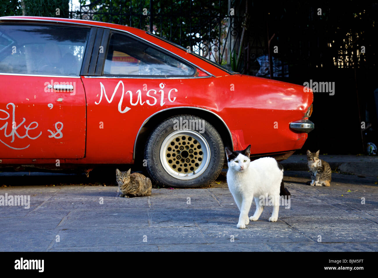 Katzen und rotes Auto, Altstadt von Rhodos, Dodekanes, Griechenland Stockfoto