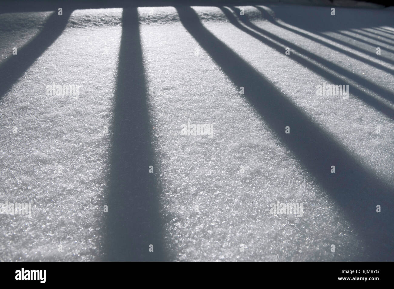 Winter-Eindruck, Zaun wirft einen Schatten auf dem Schnee Stockfoto