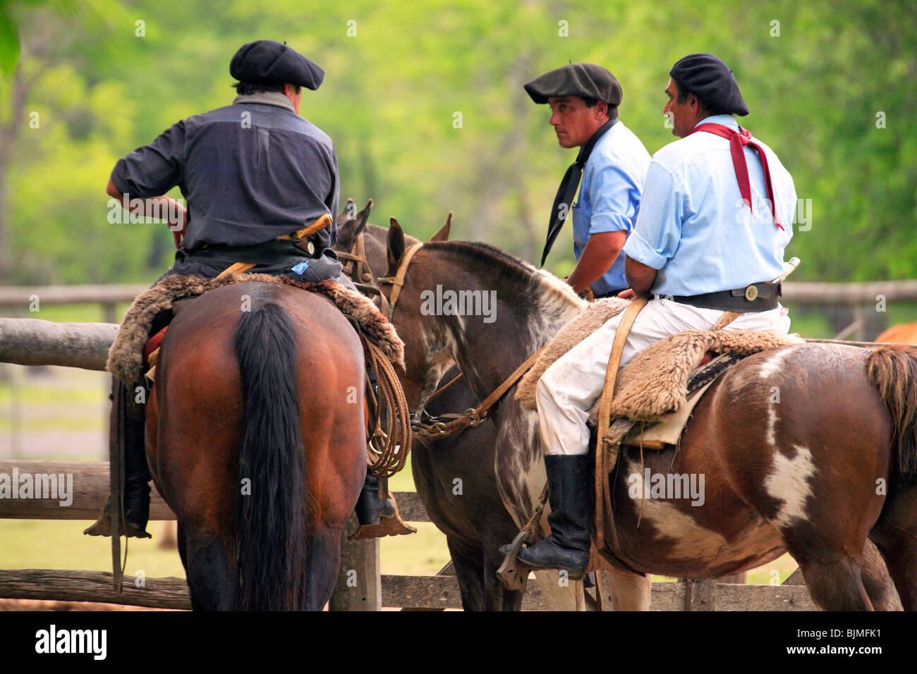 Paisanos (moderne Gauchos) mit Pferden auf San Antonio de Areco Gaucho-Festival. (Fiesta De La Tradicion / party-Tradition). Stockfoto