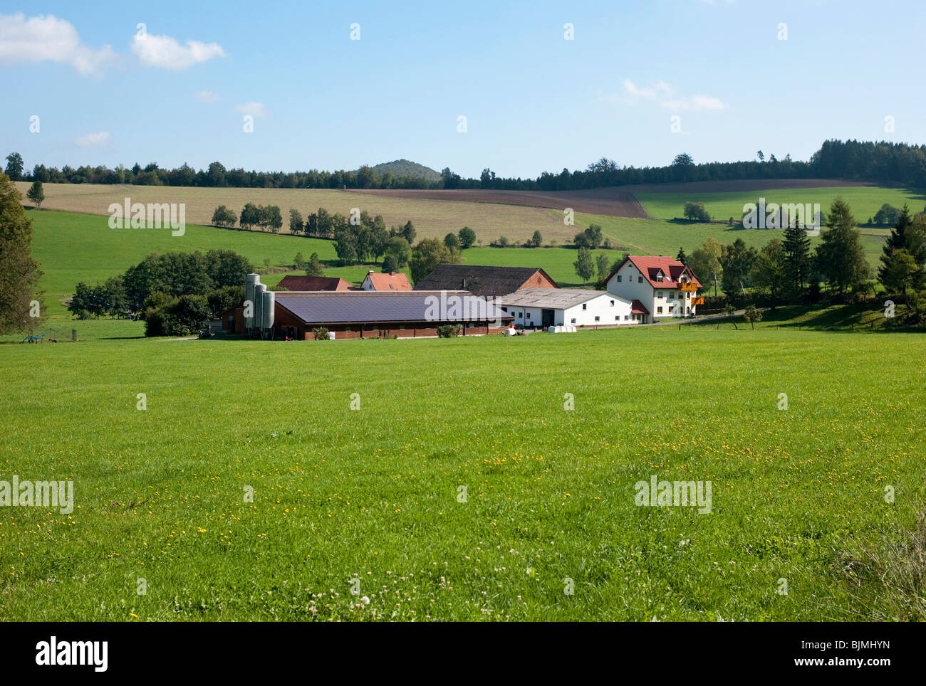 Typische lokale Rinderfarm, Hessische Rhön-Naturschutzgebiet, Biosphärenreservat Rhön, Ost Hessen, Hessen, Deutschland, Europa Stockfoto
