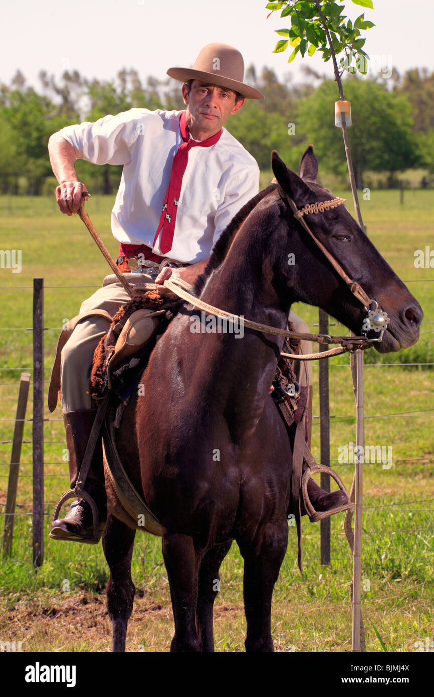 Paisano (moderne Gaucho) mit Pferd in San Antonio de Areco Gaucho-Festival. (Fiesta De La Tradicion / party-Tradition). Stockfoto