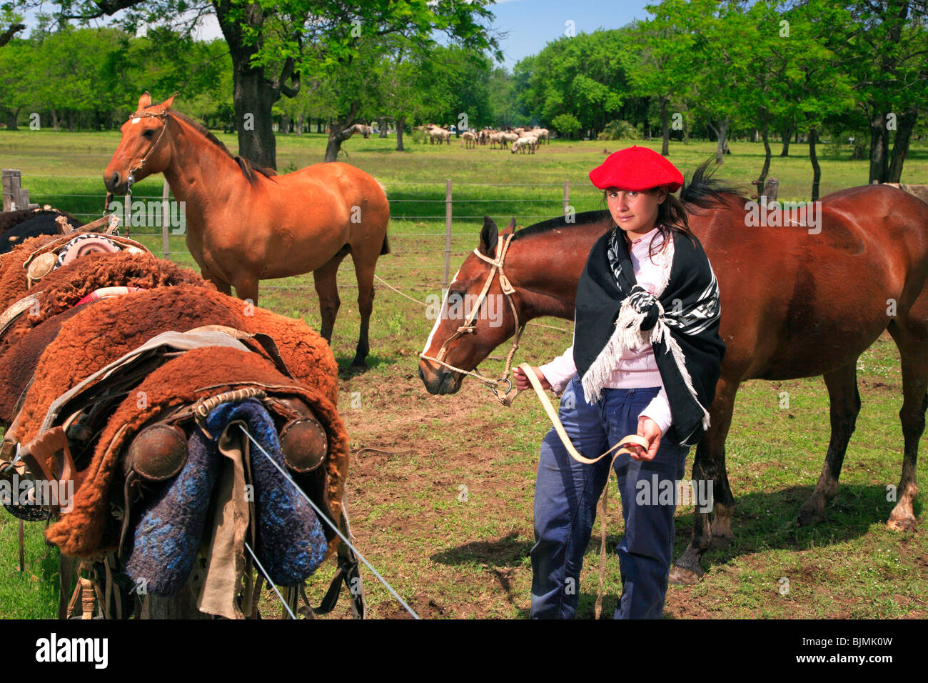junge Frau mit Pferd am San Antonio de Areco Gaucho-Festival. (Fiesta De La Tradicion / party-Tradition). Stockfoto