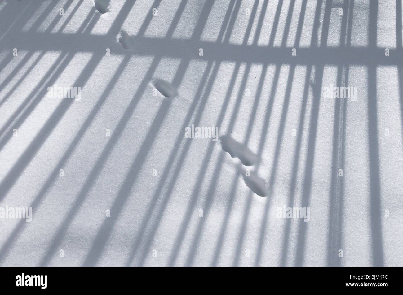 Winter-Eindruck, Zaun wirft einen Schatten auf dem Schnee Stockfoto