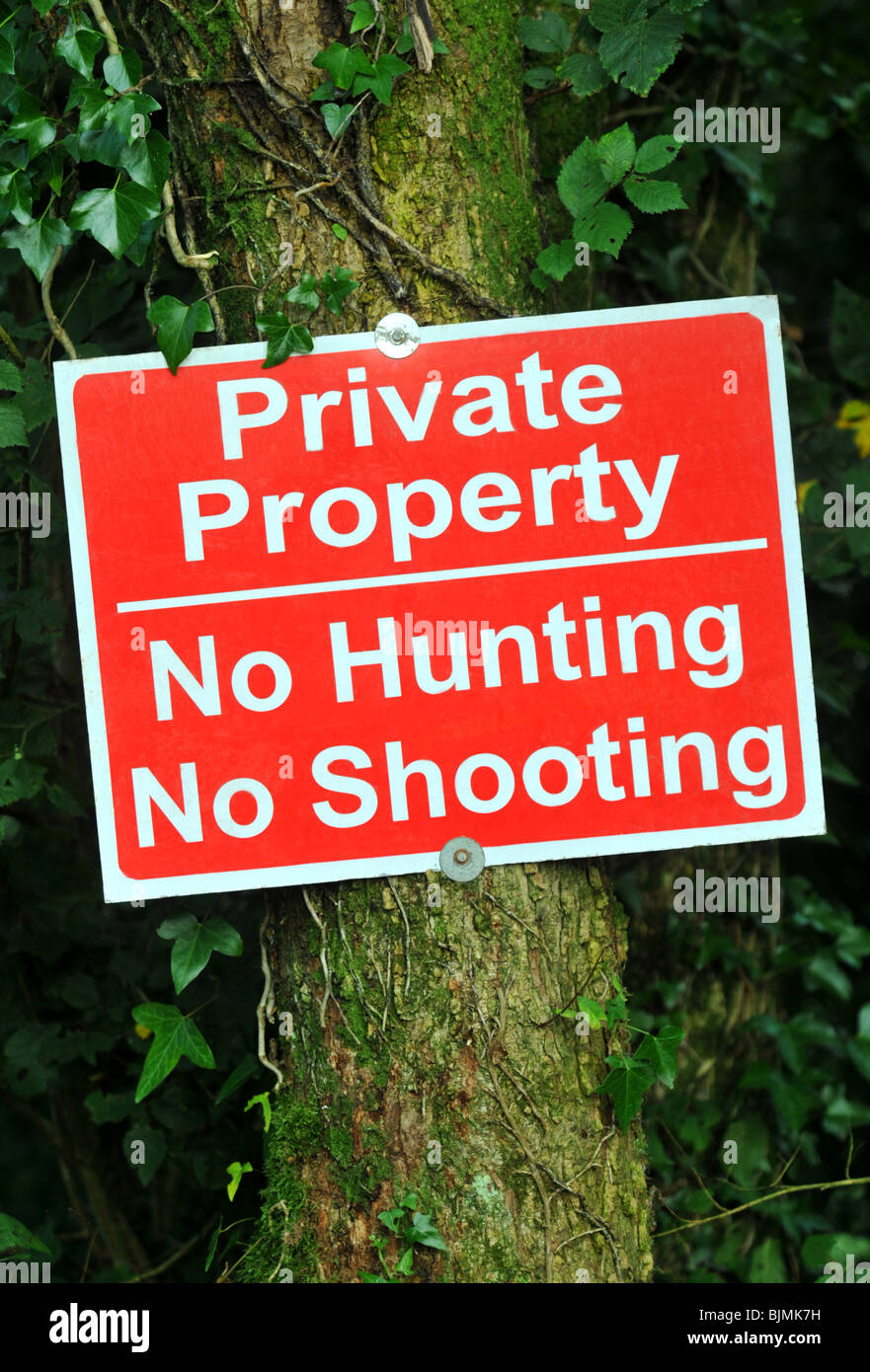 "Private Property" "Keine Jagd" Nein "schießen" Zeichen, UK Stockfoto