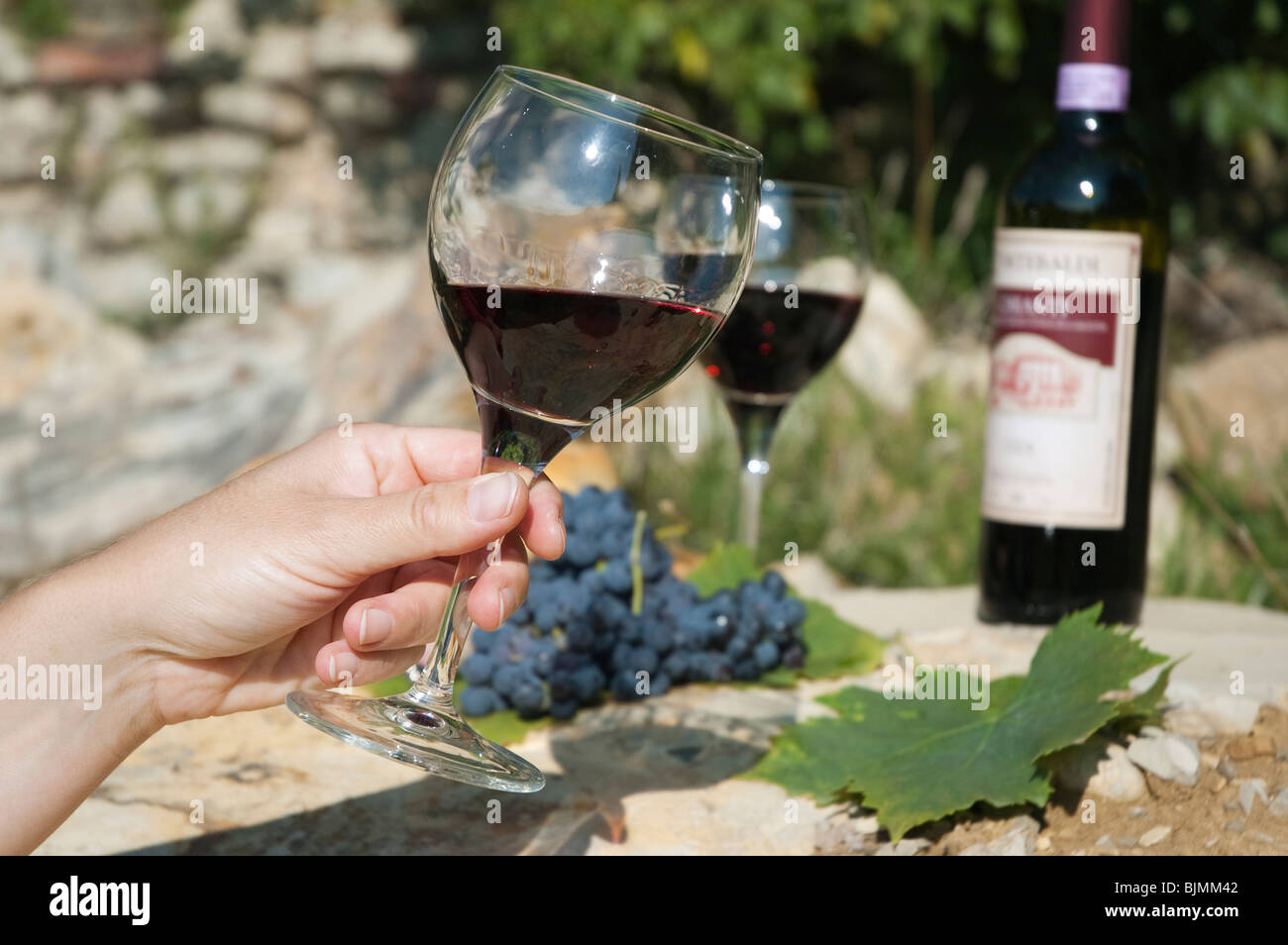 Hand hält ein Glas Wein, ein Picknick mit Chianti-Wein in der Nähe von Siena, Toskana, Italien, Europa Stockfoto