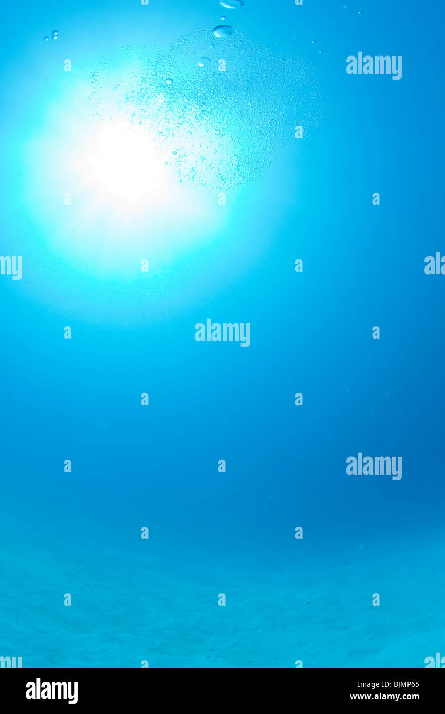 Blase Aufstieg an die Oberfläche Stockfoto