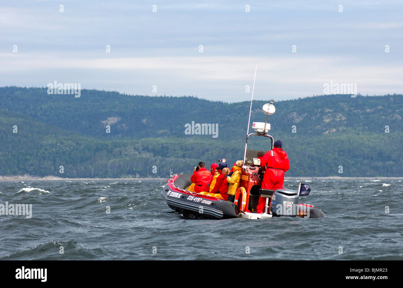 Touristen in einem Zodiac Schlauchboot der Firma Otis Ausflüge Inc., Whalewatching auf dem St. Lawrence River, Tadoussac, Stockfoto