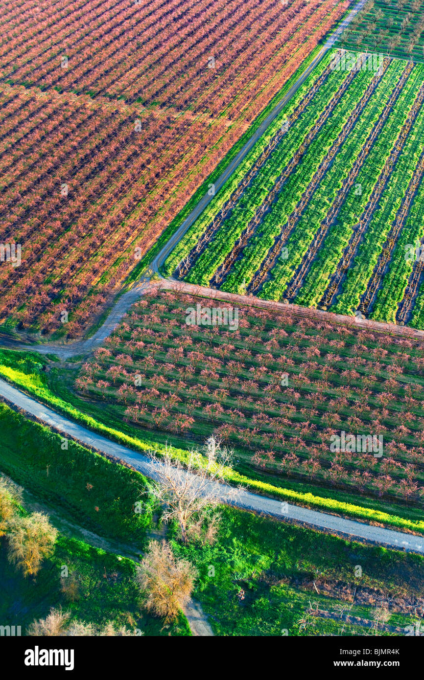 Bauernhöfe und Pfirsich Obstgärten in voller Blüte im Sacramento Valley aus der Luft. Stockfoto