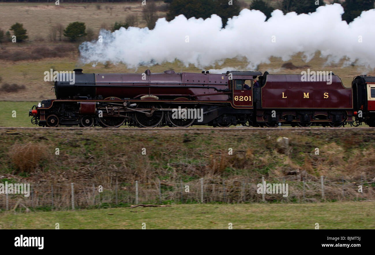 Prinzessin Elizabeth mit Geschwindigkeit vorbei Ranmore Common. Stockfoto