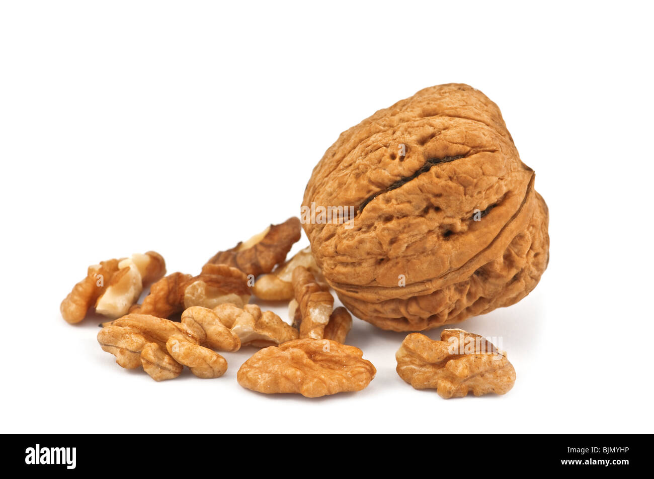 Nussbaum, die isoliert auf weißem Hintergrund Stockfoto