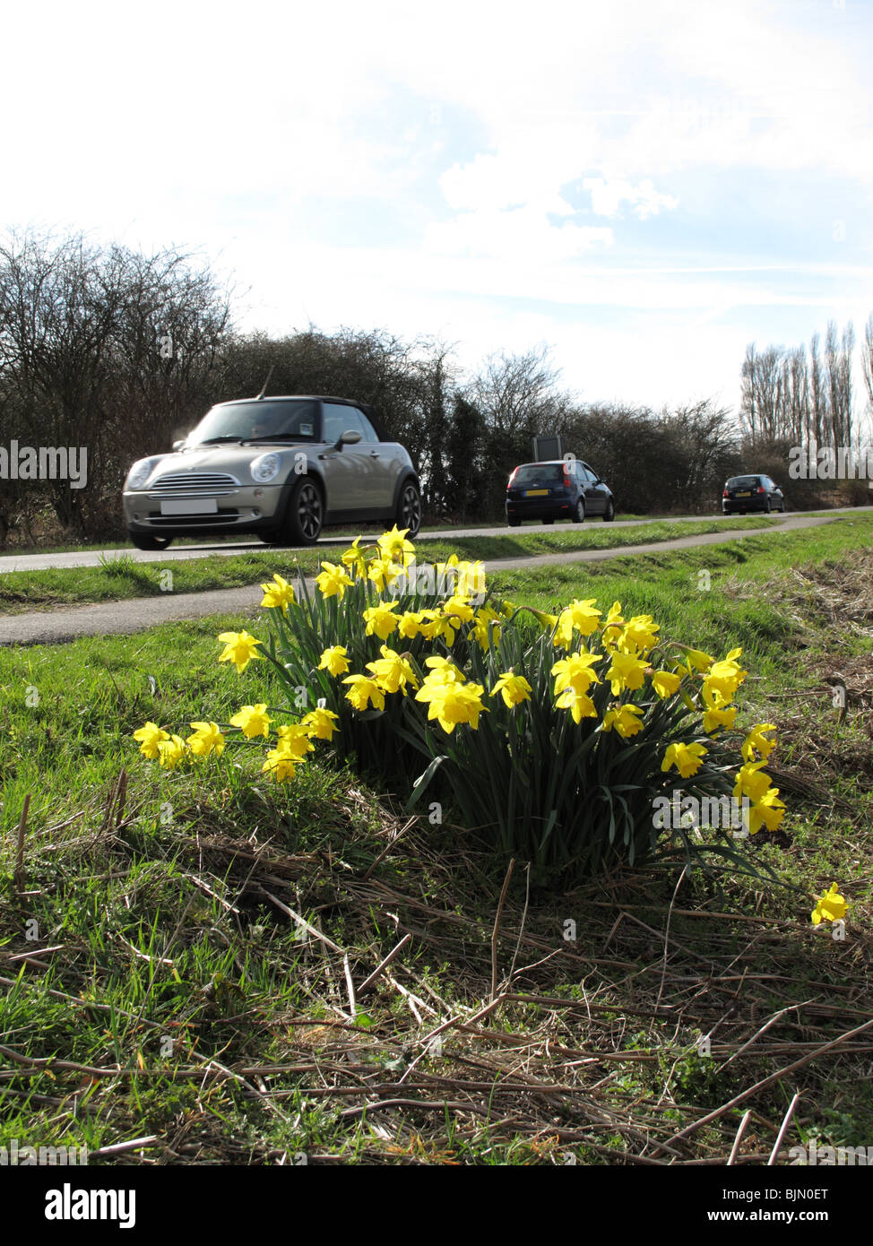 Blumen am Tatort einen tödlichen Verkehrsunfall in Großbritannien. Stockfoto