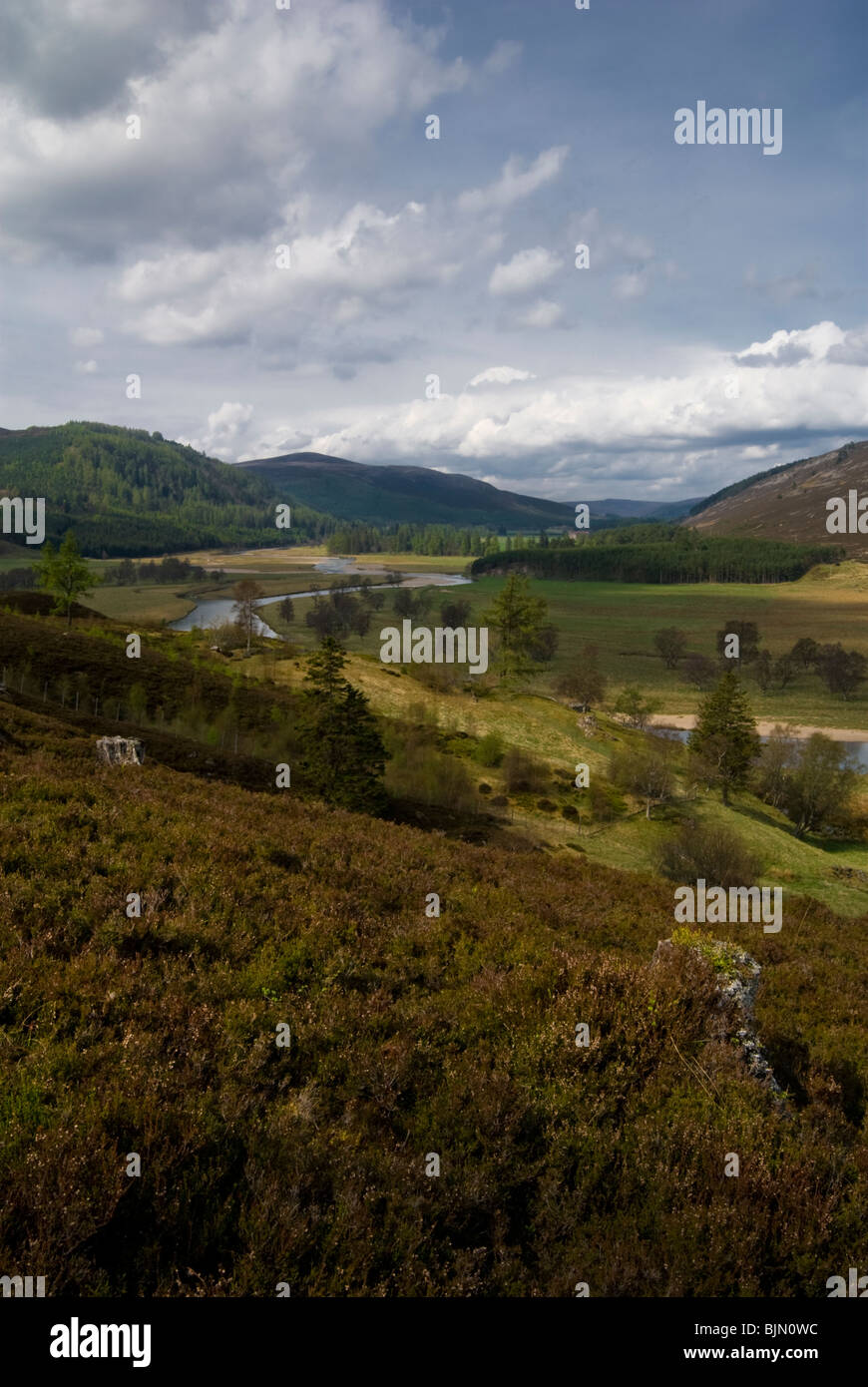 Der Fluss Dee durch Mar Lodge Estate, Braemar, Schottland Stockfoto