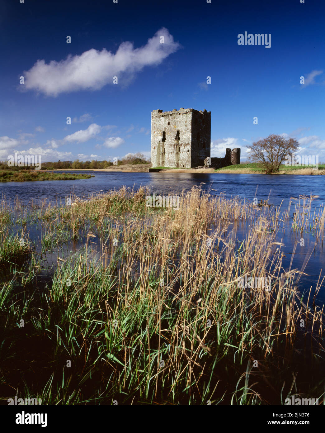Die mittelalterlichen Ruinen der Threave Castle auf einer Insel im Fluss Dee in der Nähe von Castle Douglas Scotland UK Stockfoto