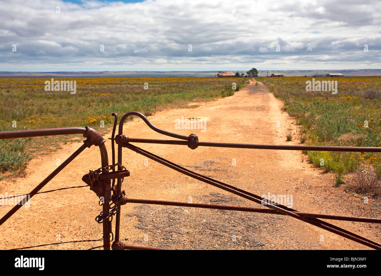 Mitte Nord Farm Gate Südaustralien Stockfoto