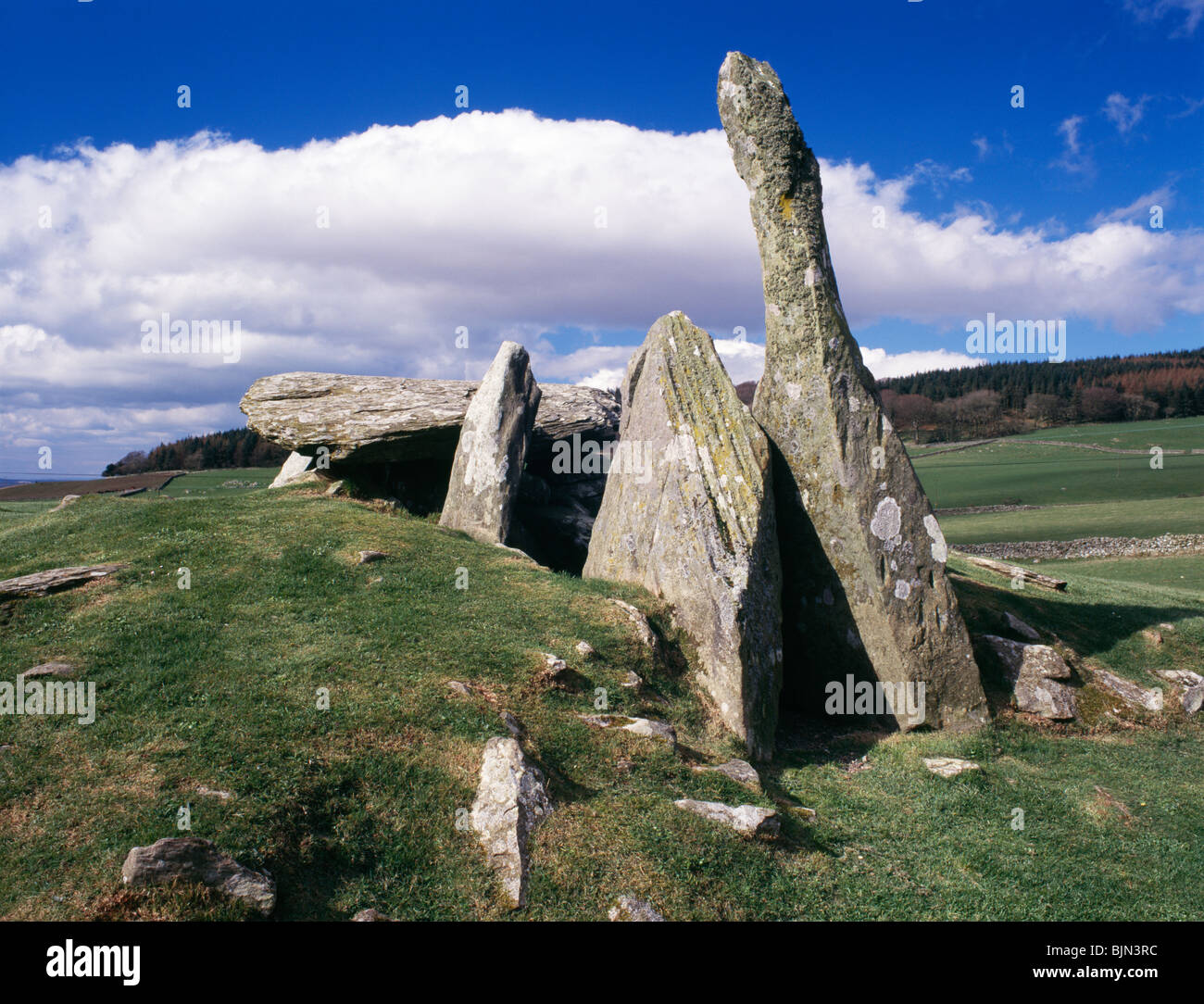 Standing stones Schottland Cairnholy Neolithikum Patronenlager Beerdigung Cairns in der Nähe von Creetown Galloway Scotland UK Stockfoto