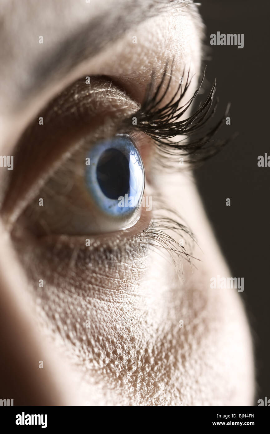 Makro auf blaue Augen mit langen Wimpern Stockfoto