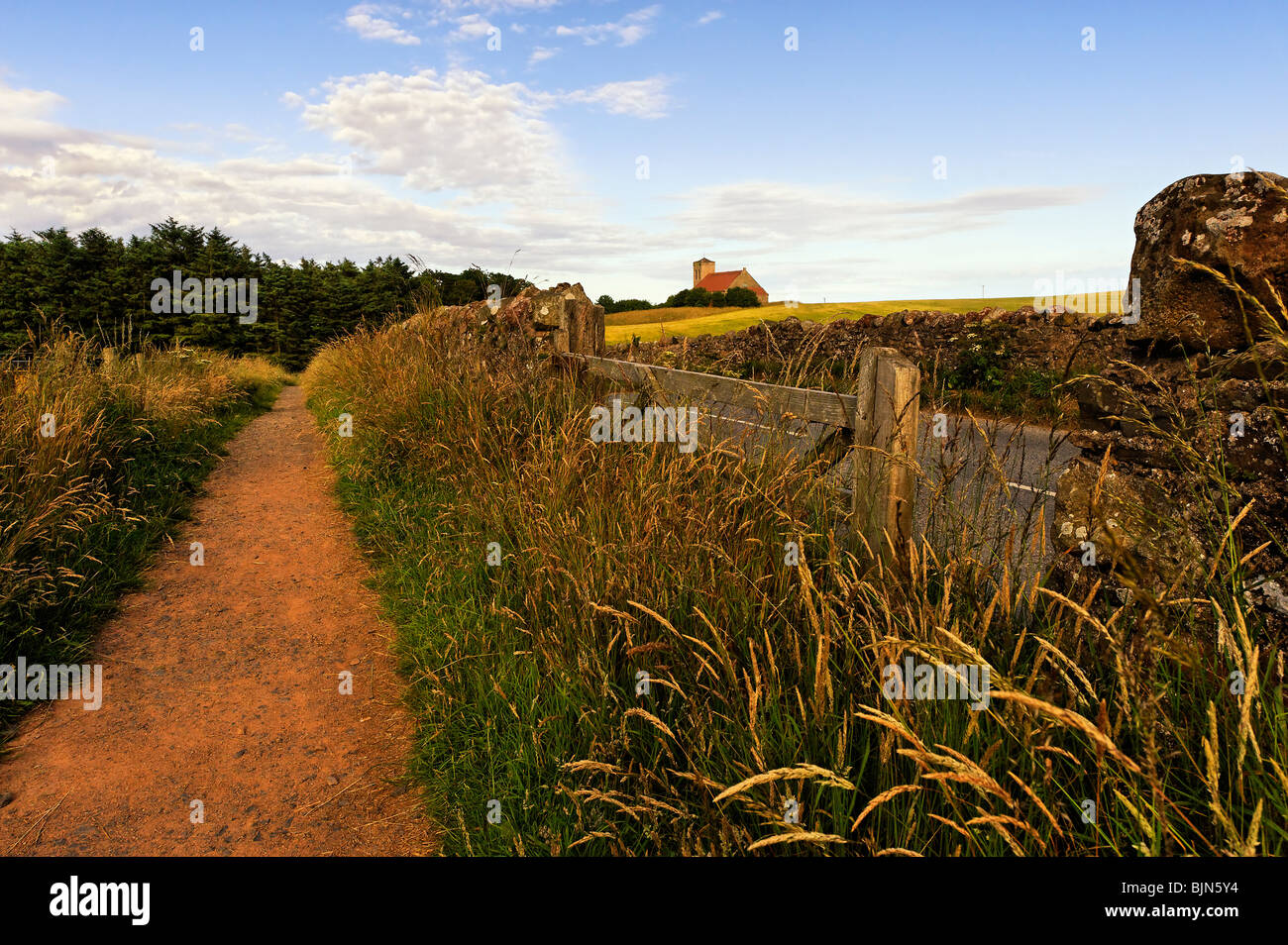 Fußweg in der Nähe der Küste Dorf St. Abbs in Berwickshire Stockfoto